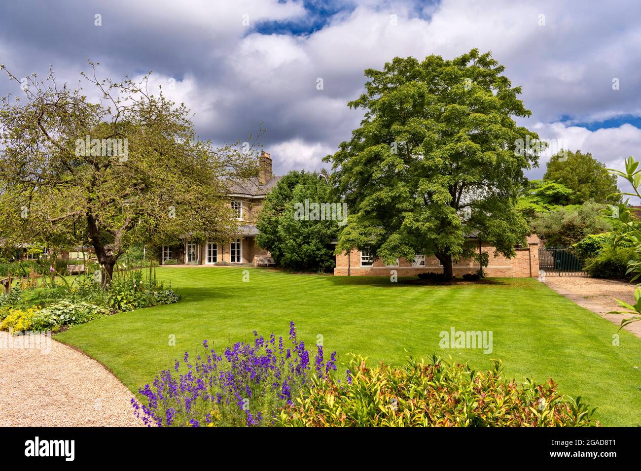 CAMBRIDGE ENGLAND UNIVERSITY BOTANIC GARDENS NEWTON'S APPLE TREE AND ...