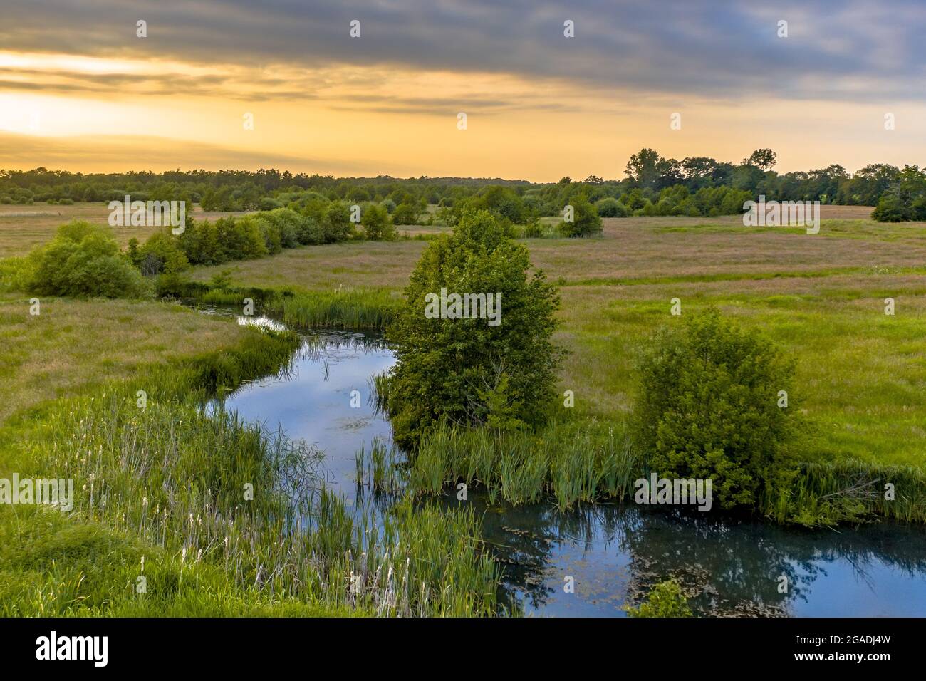 Aerial view of green grassland river valley of Westerstroom creek in