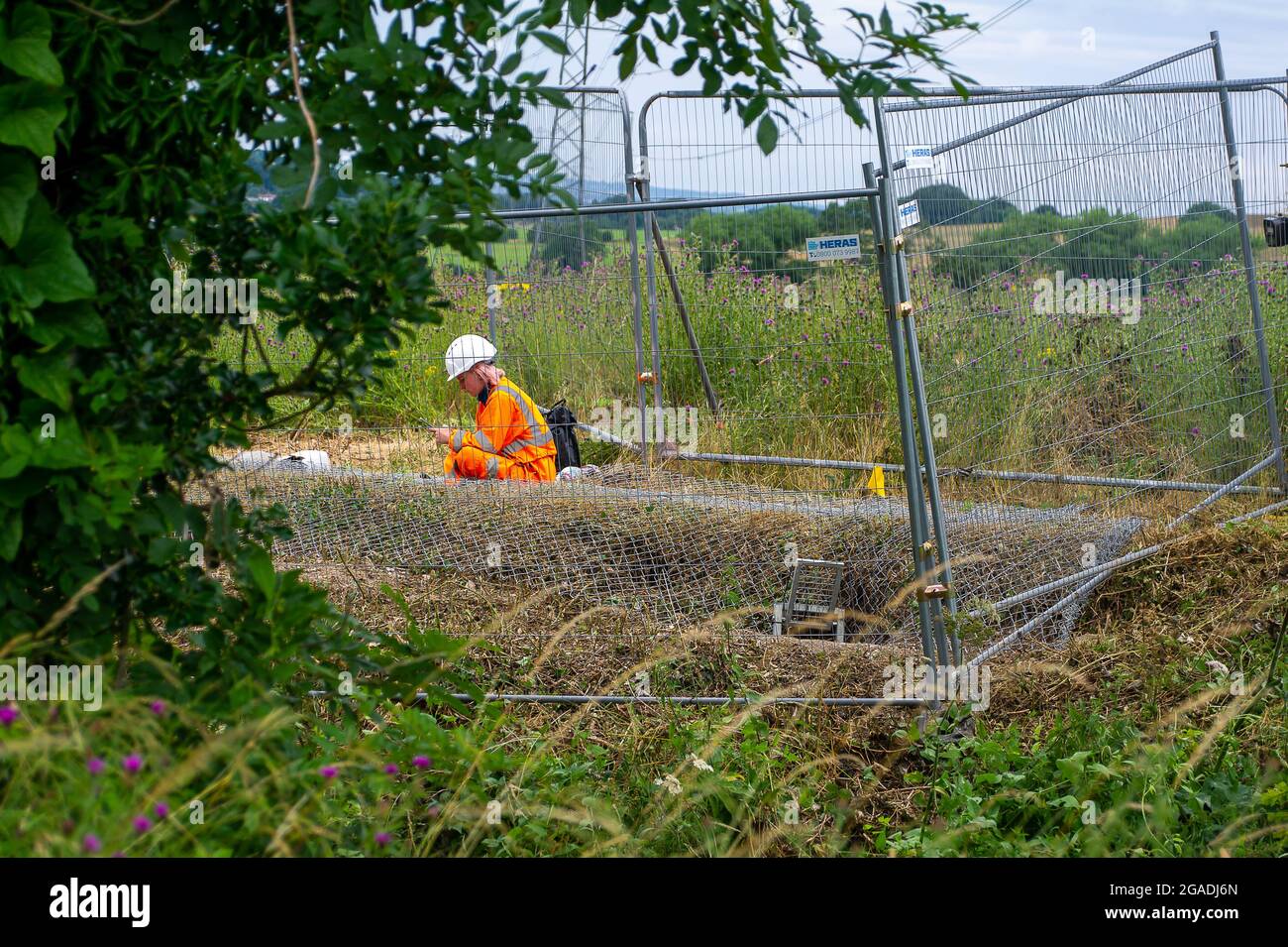 Aylesbury Vale, Buckinghamshire, UK. 28th July, 2021. An ecologist