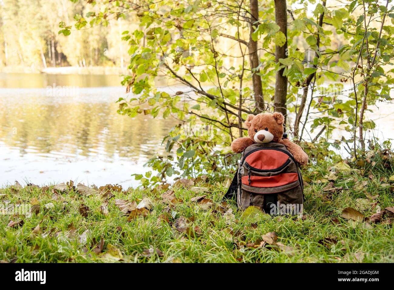 Small backpack with soft toy teddy bear Stock Photo