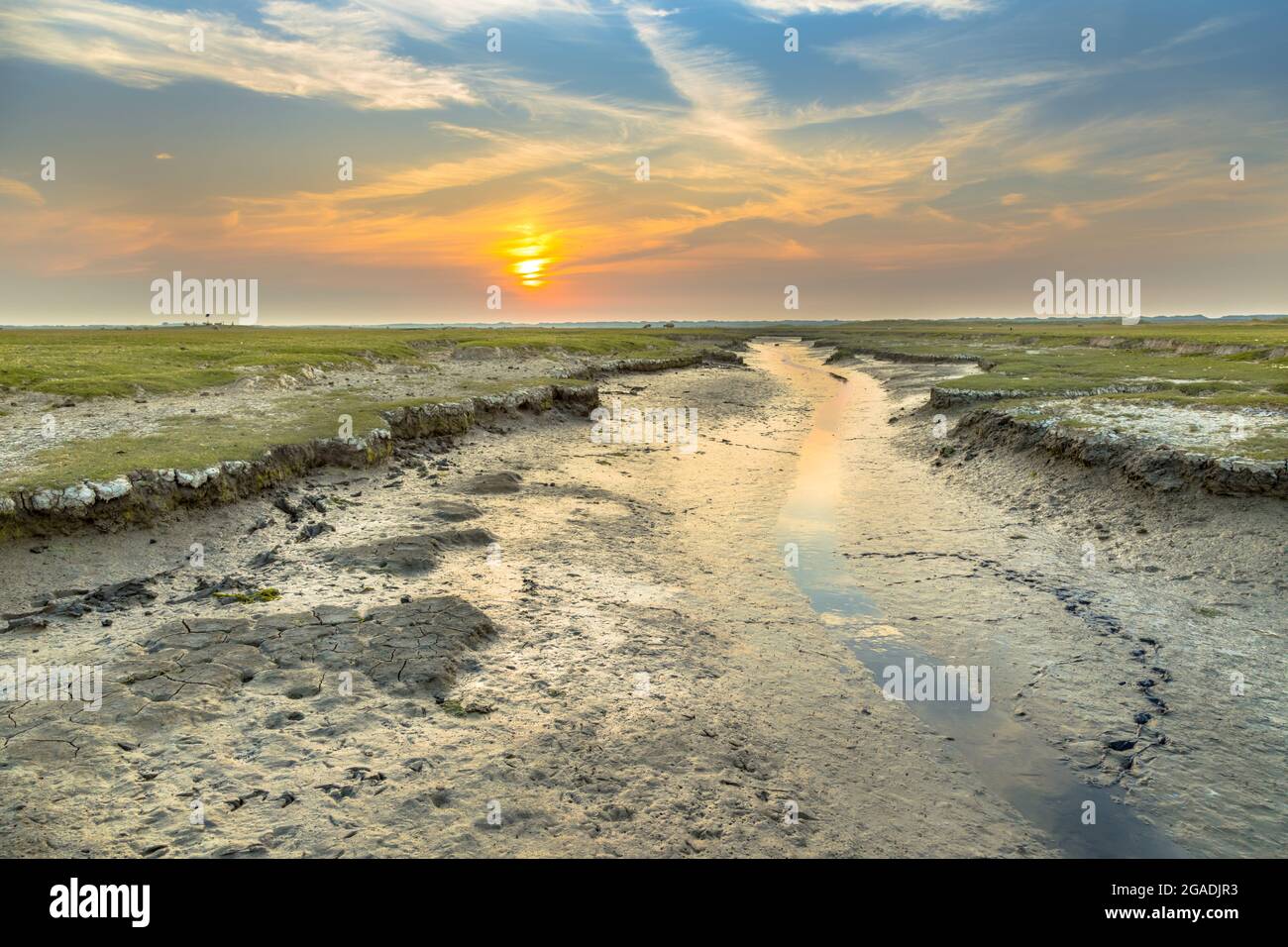 Tidal channel in salt marshland with natural meandering drainage system on wadden island of Ameland in Friesland, Netherlands Stock Photo