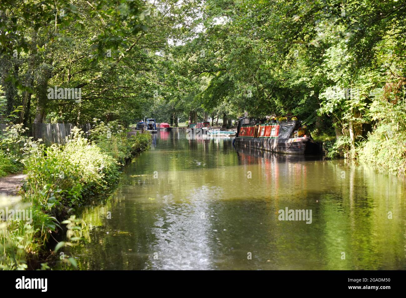 Near the Basingstoke Canal Centre at Mytchett in Surrey Stock Photo