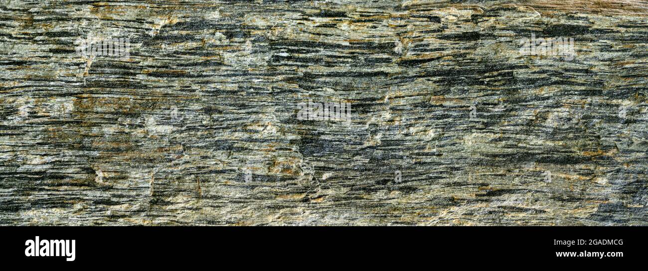 Abstract green gray natural stone with very rough surface in close-up Stock Photo