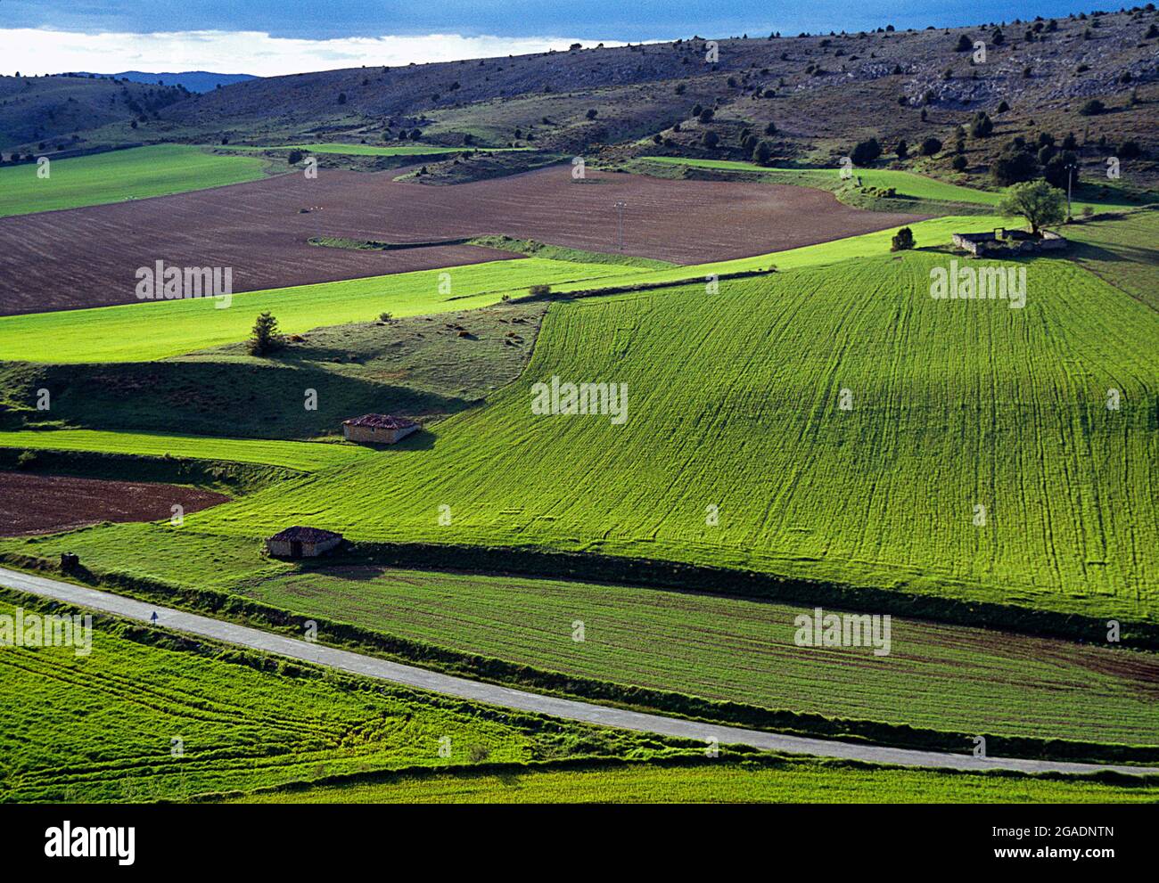 Landscape. Valle de la Sangre, Calatañazor, Soria province, Castilla Leon, Spain. Stock Photo