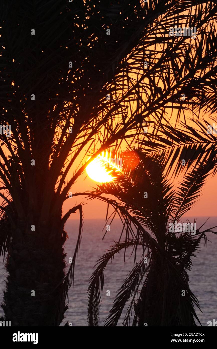Beautiful sunset view palms hi-res stock photography and images - Alamy