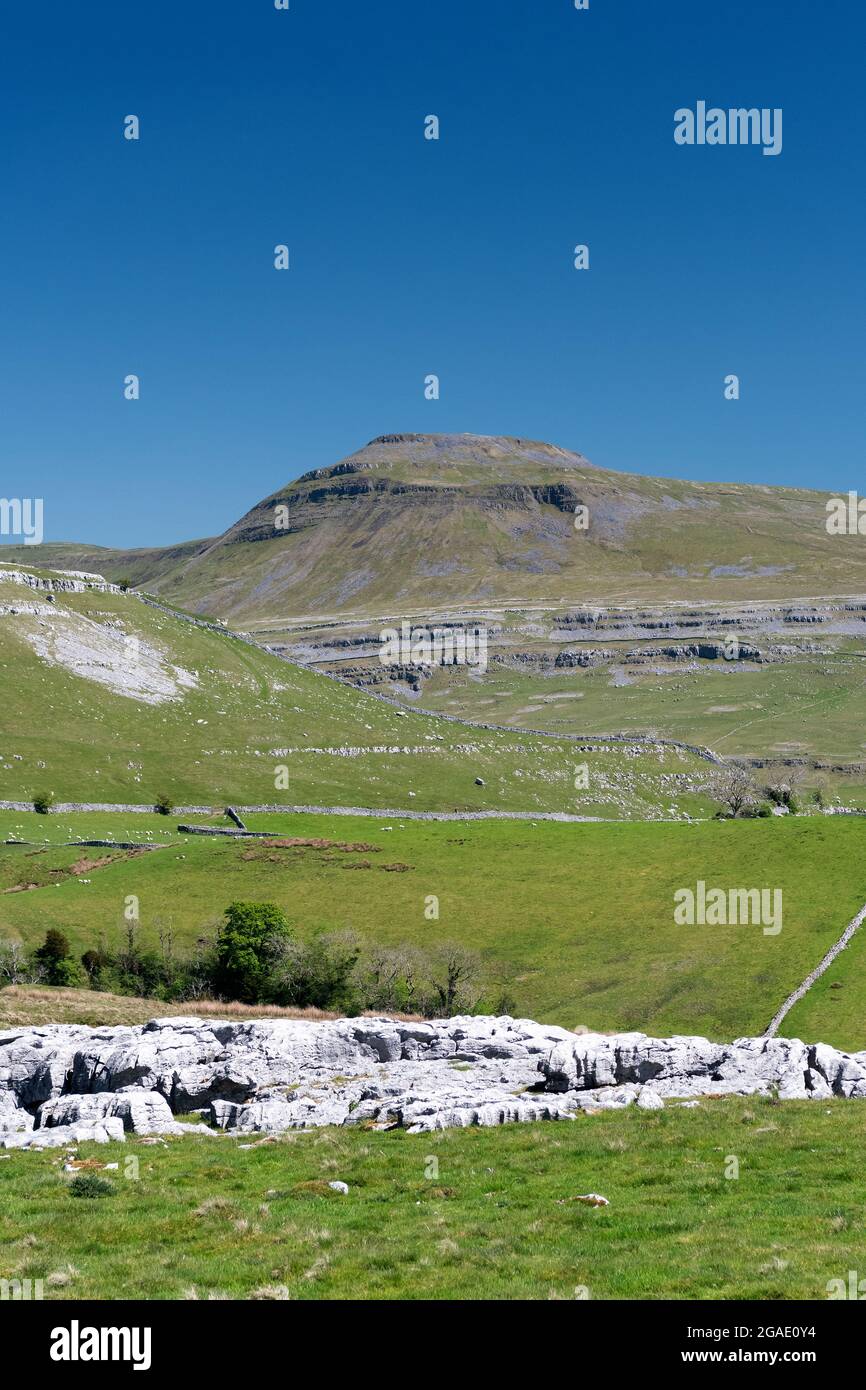 Ingleborough from the bottom of Kingsdale, showing the limestone geology of the area, North Yorkshire, UK. Stock Photo