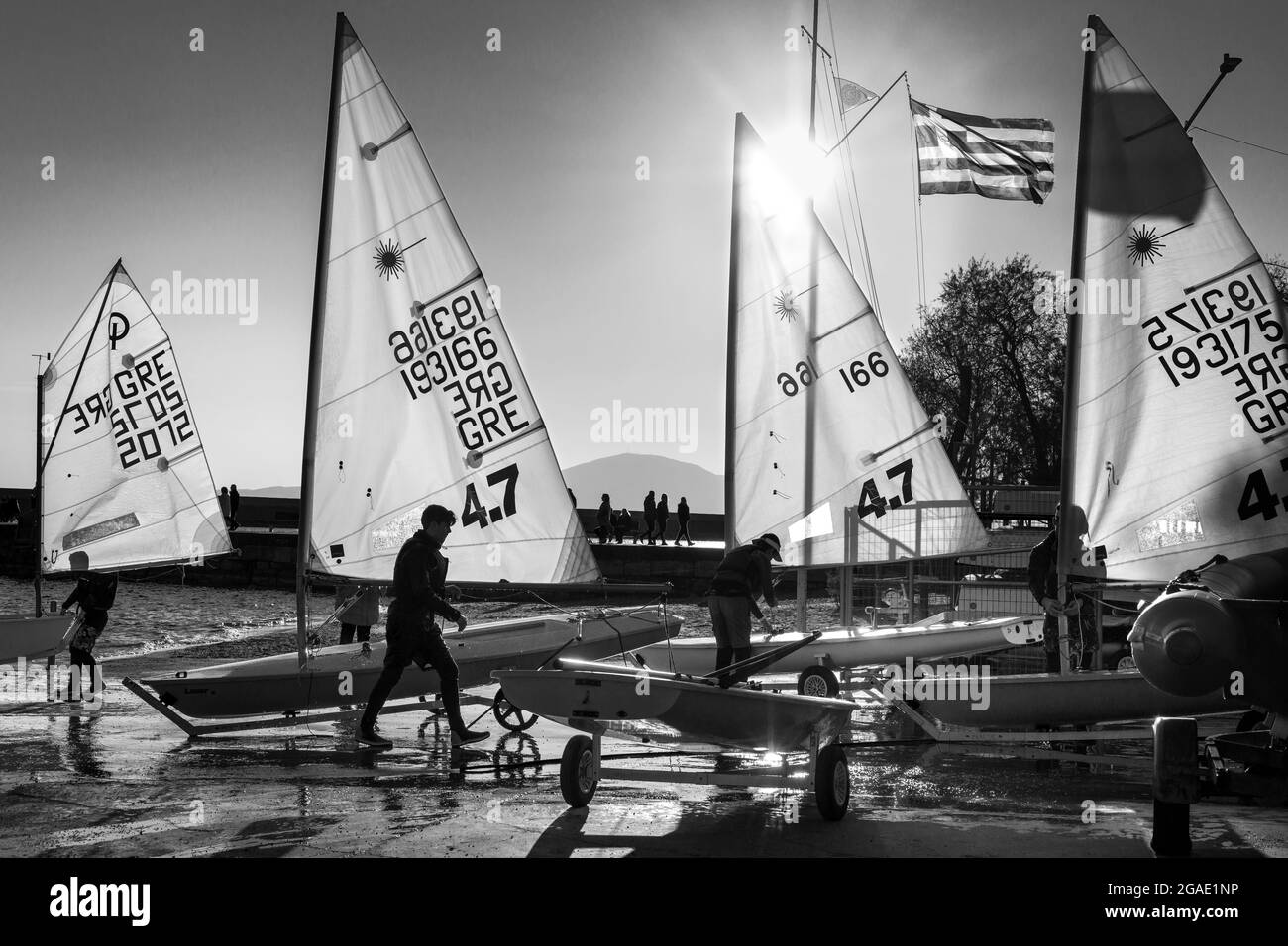 Laser dinghies preparig for a race, in the harbour at Kalamata, Messinia, Southern Peloponnese, Greece, Stock Photo