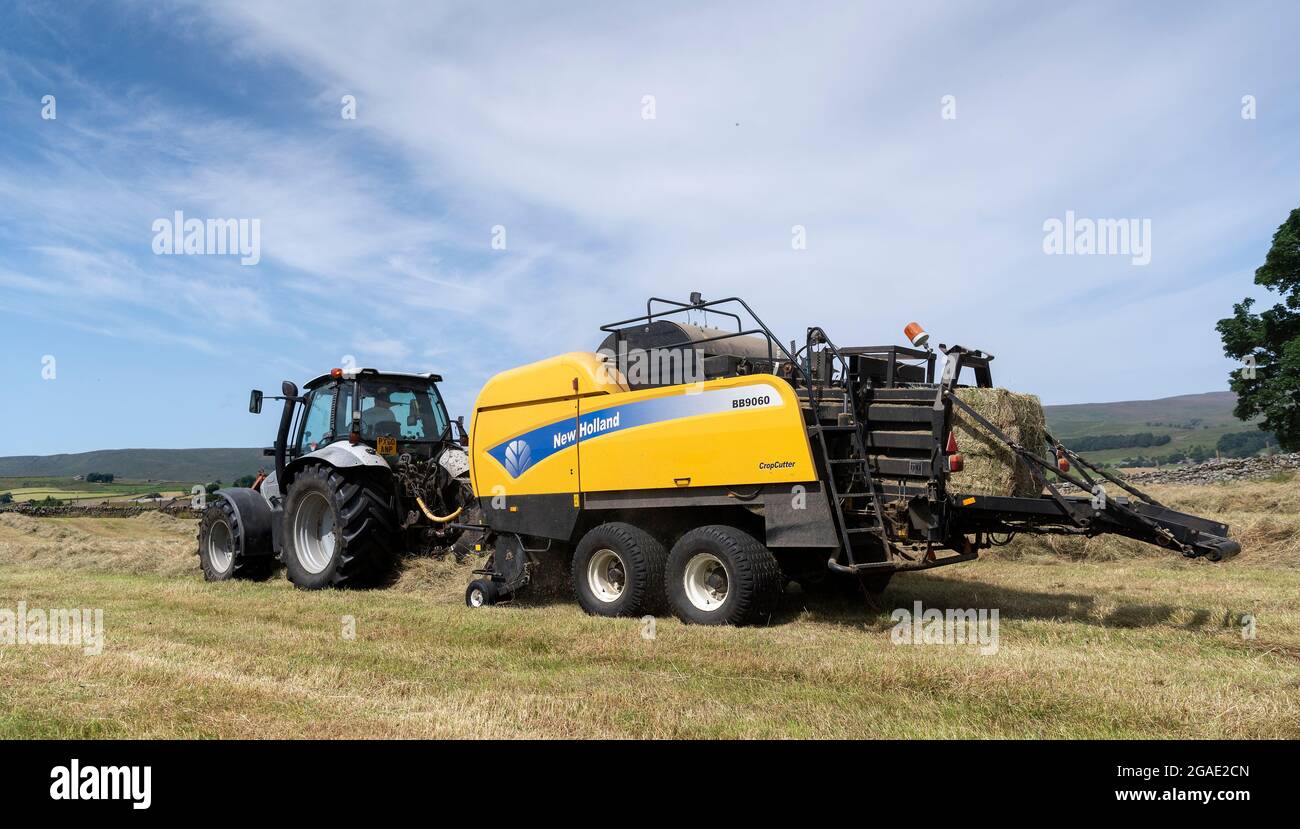 2019 meadow hay conventional small square Bales 