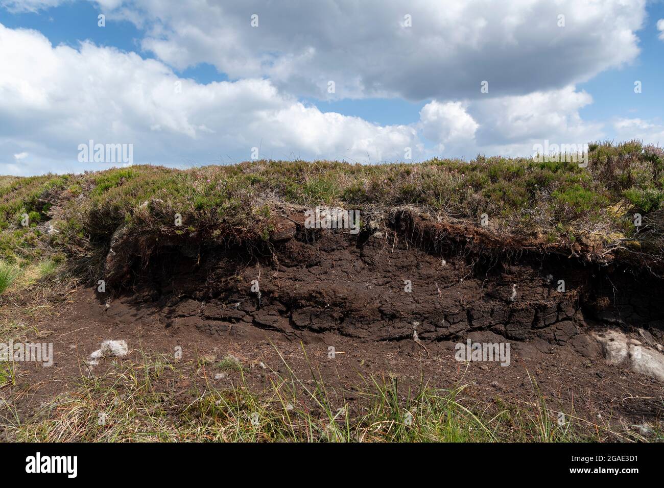 Peat hag on moorland, dried out in the summer heat. Co. Durham, UK. Stock Photo