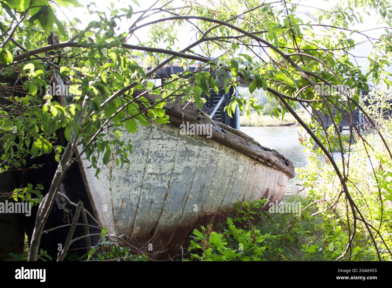 The hull of a discarded rowboat is overgrown by bushes along the shore's edge and falling into ruin. Stock Photo