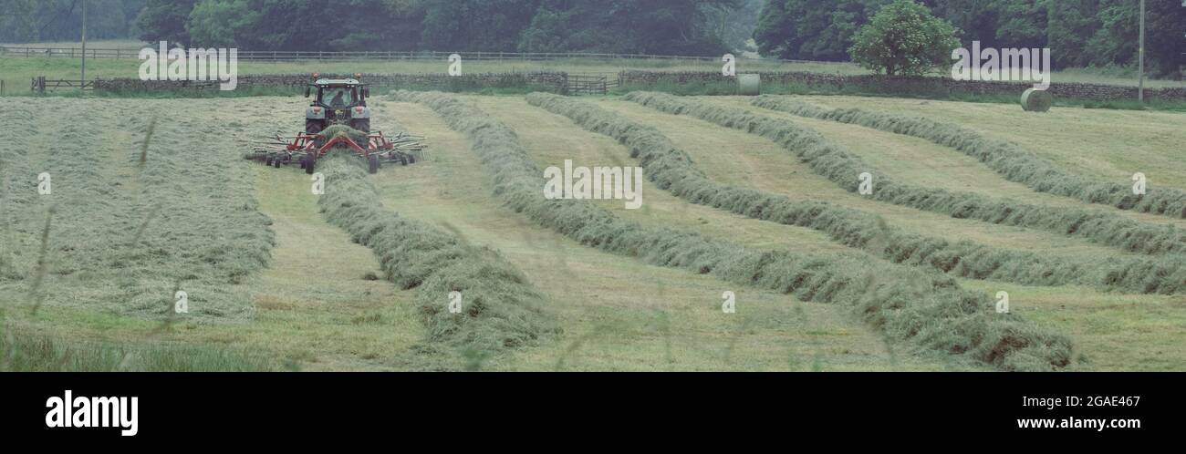 Panoramic image of a farmer in a tractor cutting the grass for silage with stripes in the field, West Yorkshire, England. Stock Photo
