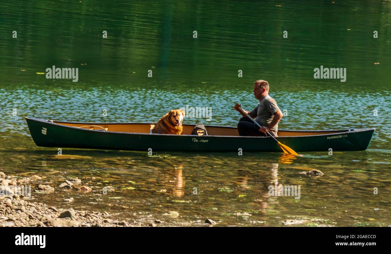 Green canoe in shallow water with a man and Lab/Retriever in the canoe.  Green reflection with rocks visible underwater. Stock Photo