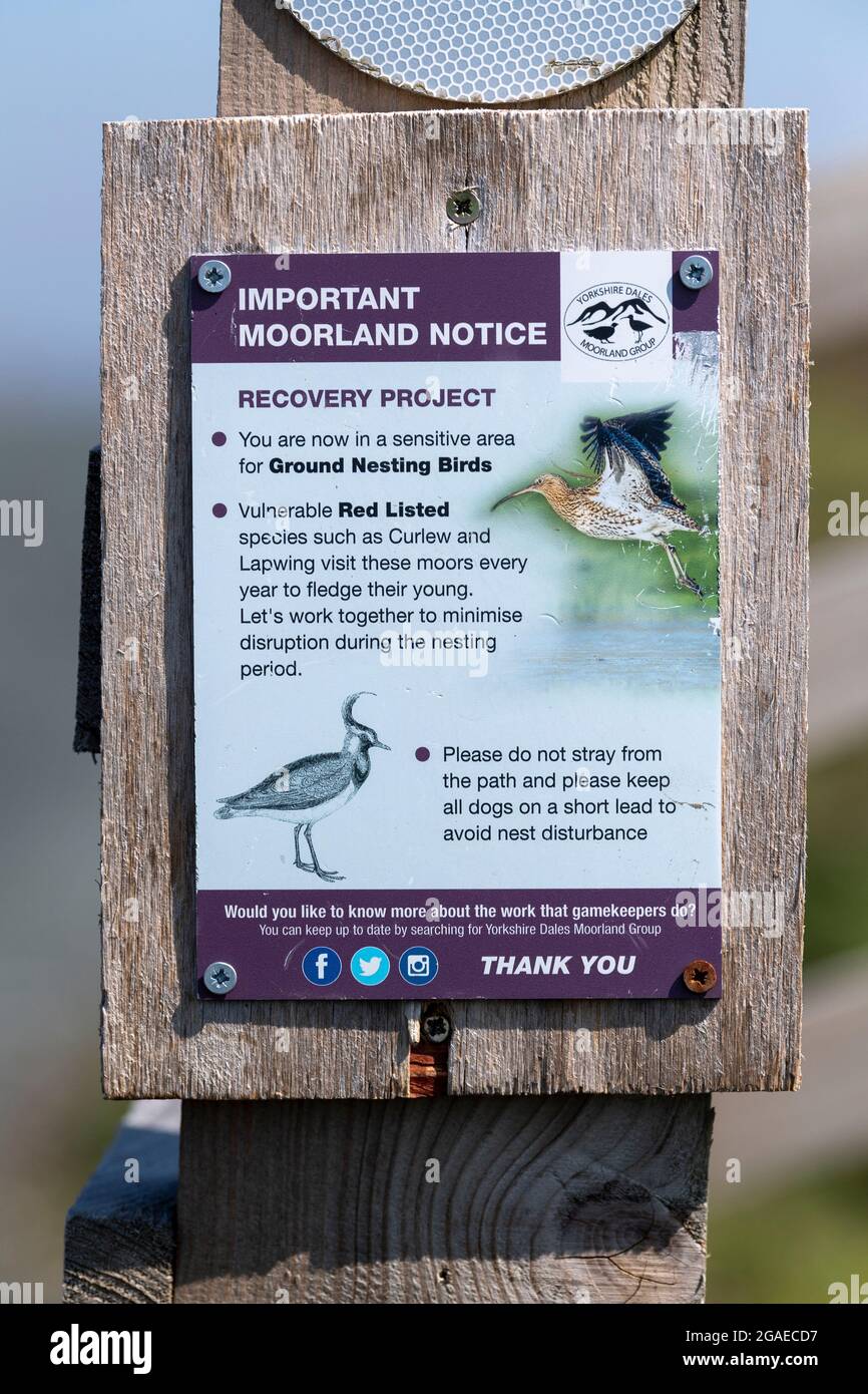 Notice on the edge of an upland moor asking people to be aware of ground nesting birds. North Yorkshire, UK. Stock Photo