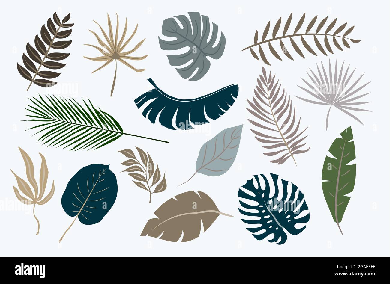 collection of tropical leaves isolated on white background, vector ...
