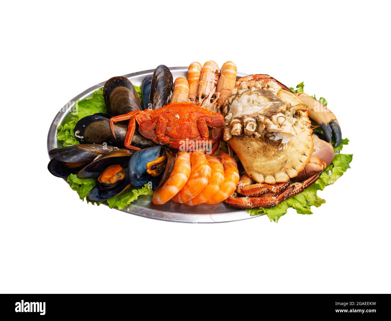 Seafood serving isolated on white. Mussels, shrimps, brown crab, spider ...