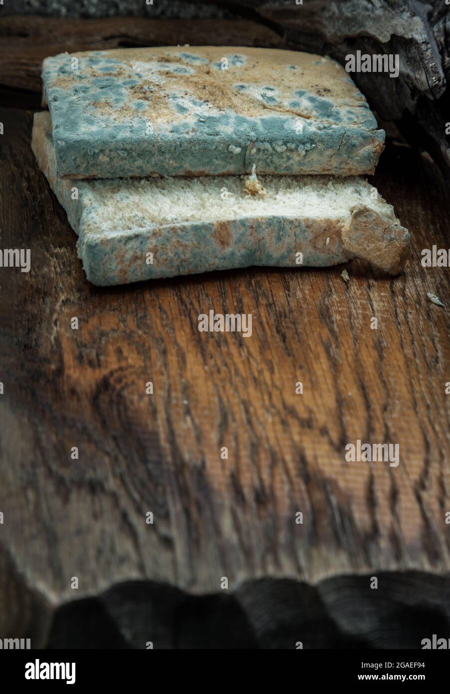 Mold growing rapidly on Moldy bread slices in green and white spores on wooden cutting board. Rotten and inedible food. Copy space, Selective Focus. Stock Photo