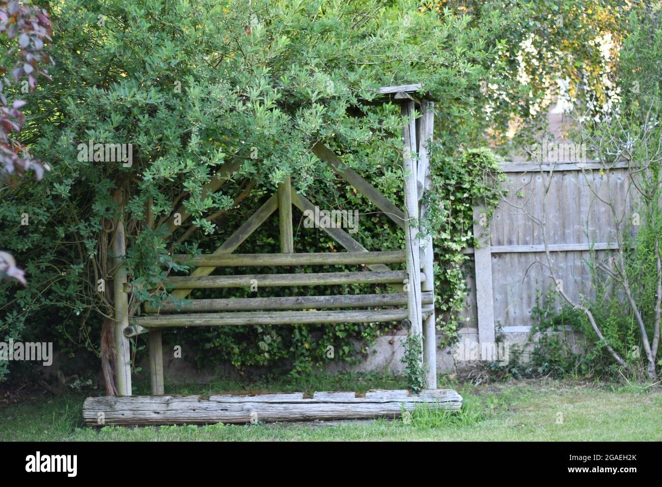An aged, rustic, garden bench, arbor bench, sitting at the bottom of a garden with overgrown vegetation Stock Photo