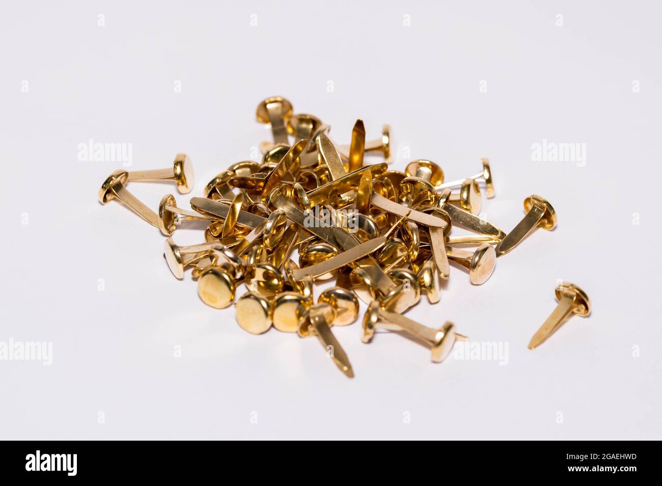 Close up of gold paper fasteners on a white background Stock Photo