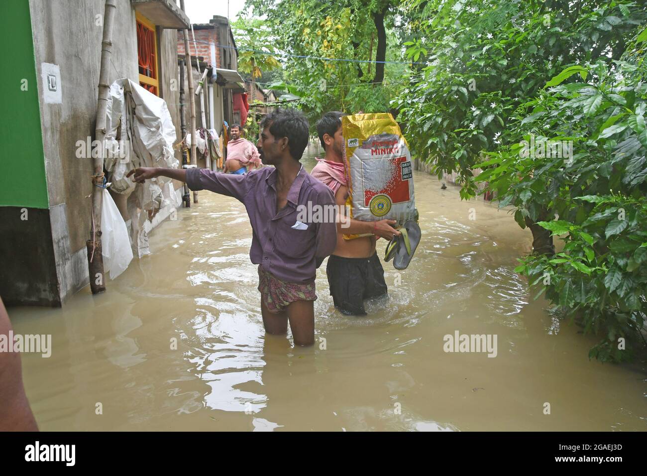 Burdwan, West Bengal / India : In Burdwan civic town areas uncountable ...