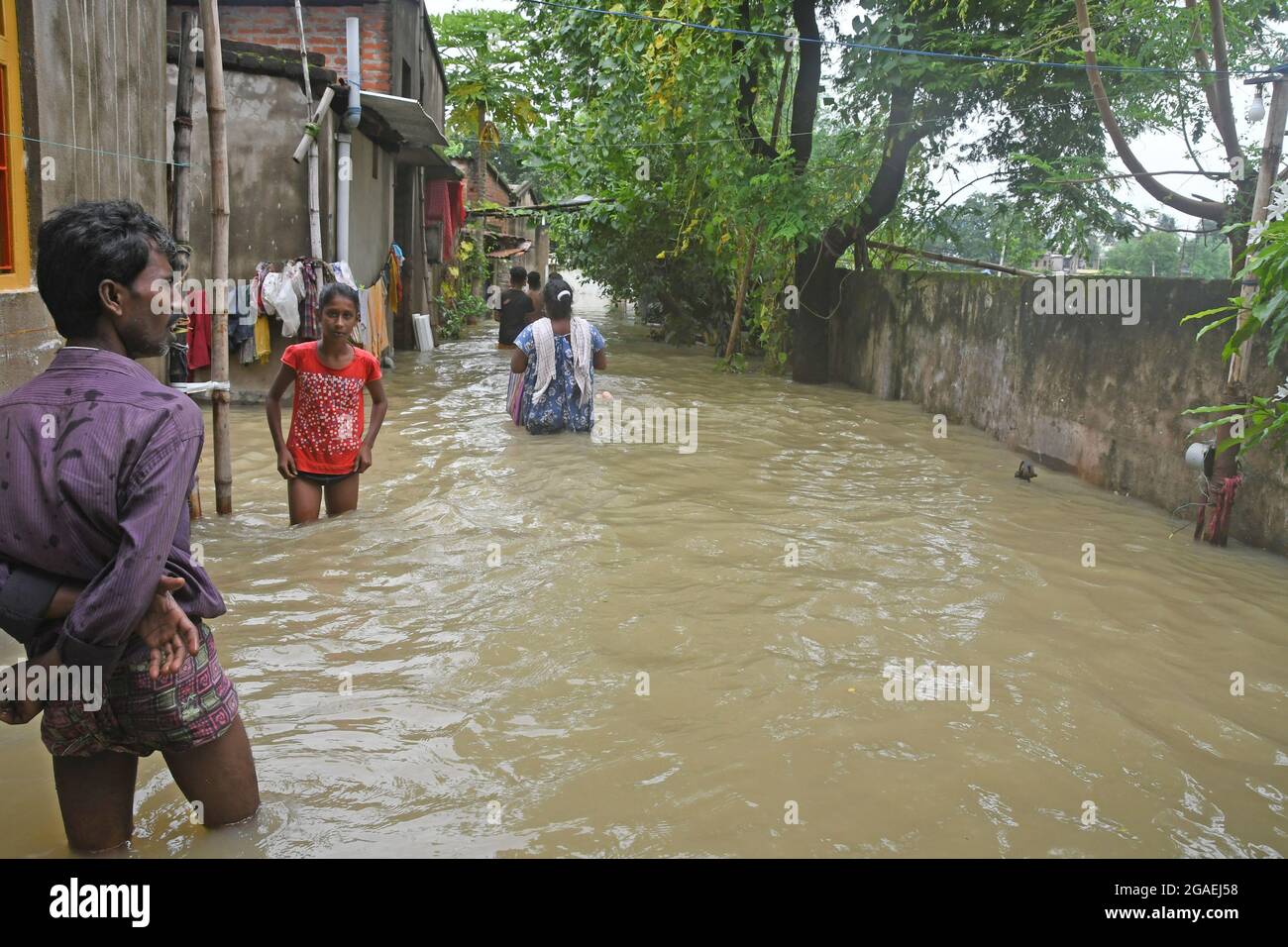 Burdwan, West Bengal / India : In Burdwan civic town areas uncountable ...