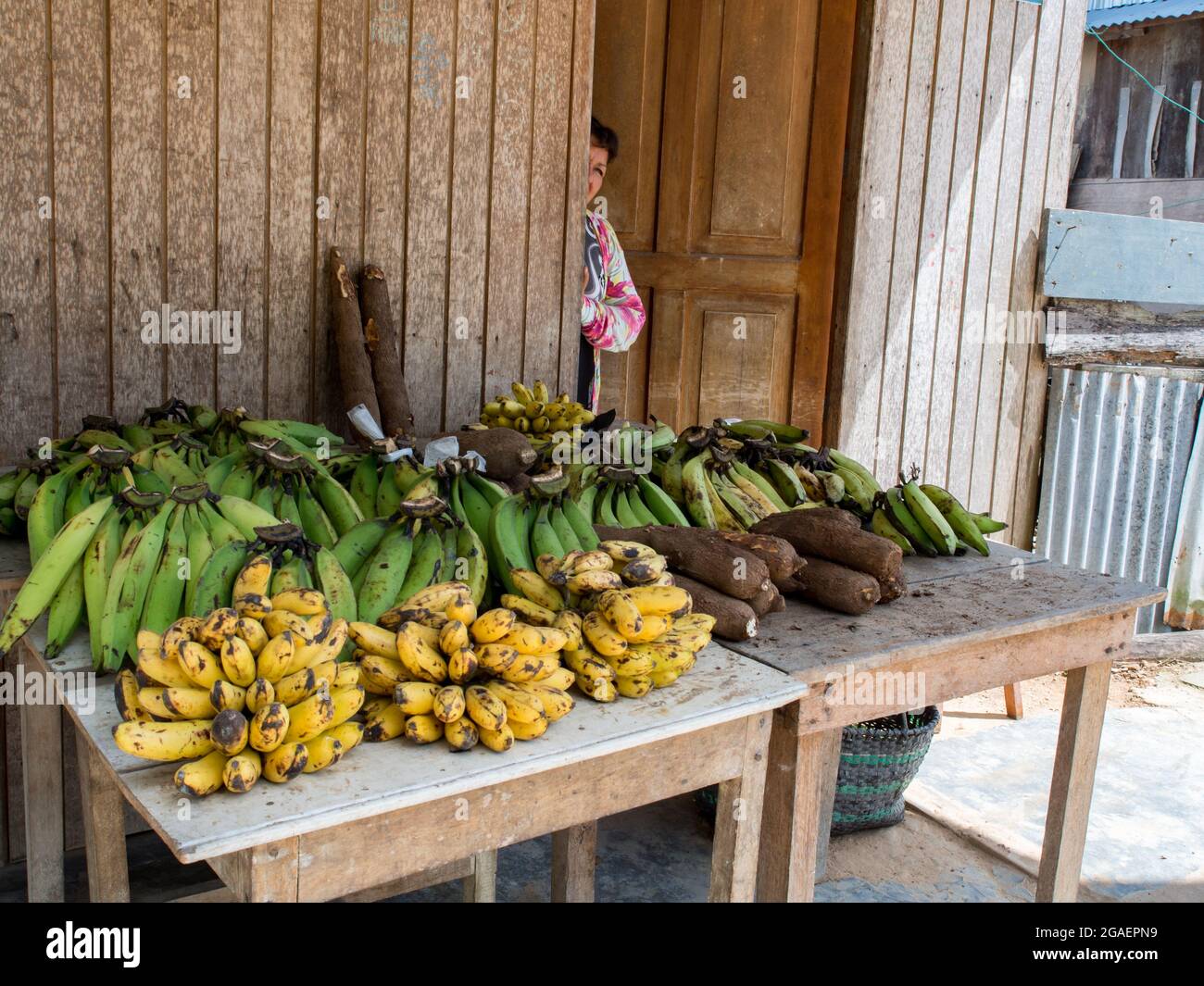 Santo Tomas, Peru - May, 2016: Peruvian woman are selling different kind of bananas and manioc on the table before wooden house in the small village n Stock Photo