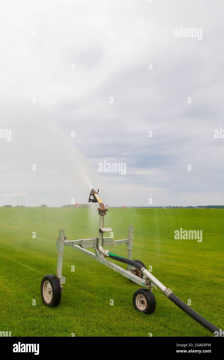 Sprinkler watering agricultural field in the sun Irrigation plant in