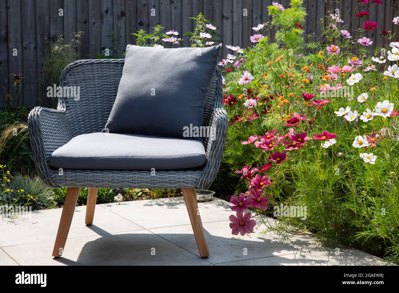 Garden fchair on the terrace on sunny day Stock Photo