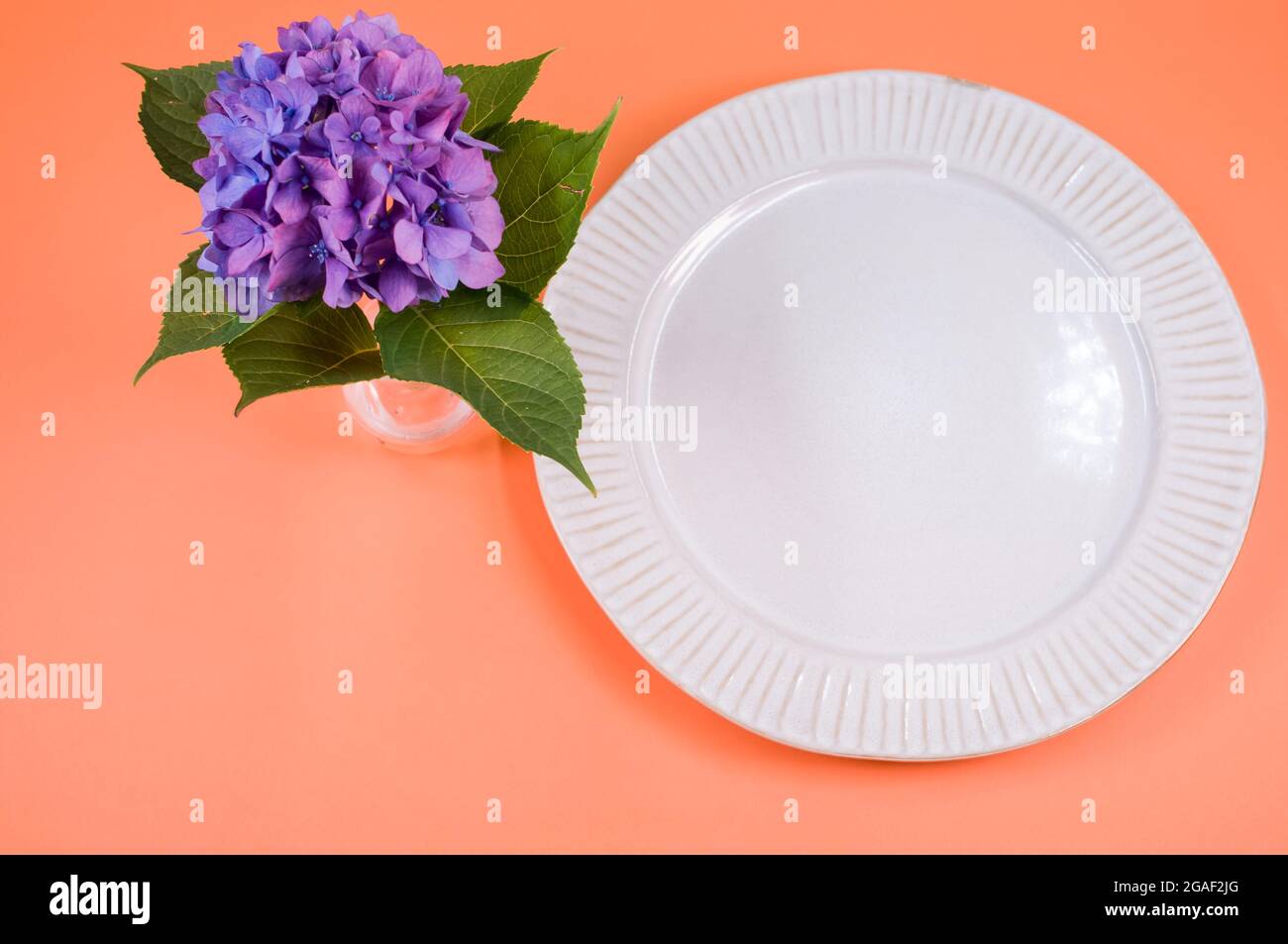 Top view of hydrangeas in a vase with a paper plate on a peach surface ...