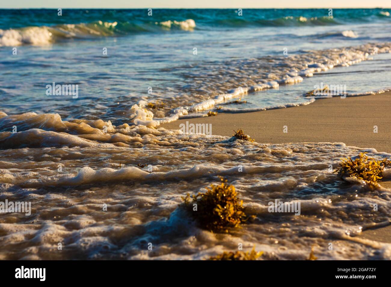Waves splashing on the sand on the beach Stock Photo - Alamy
