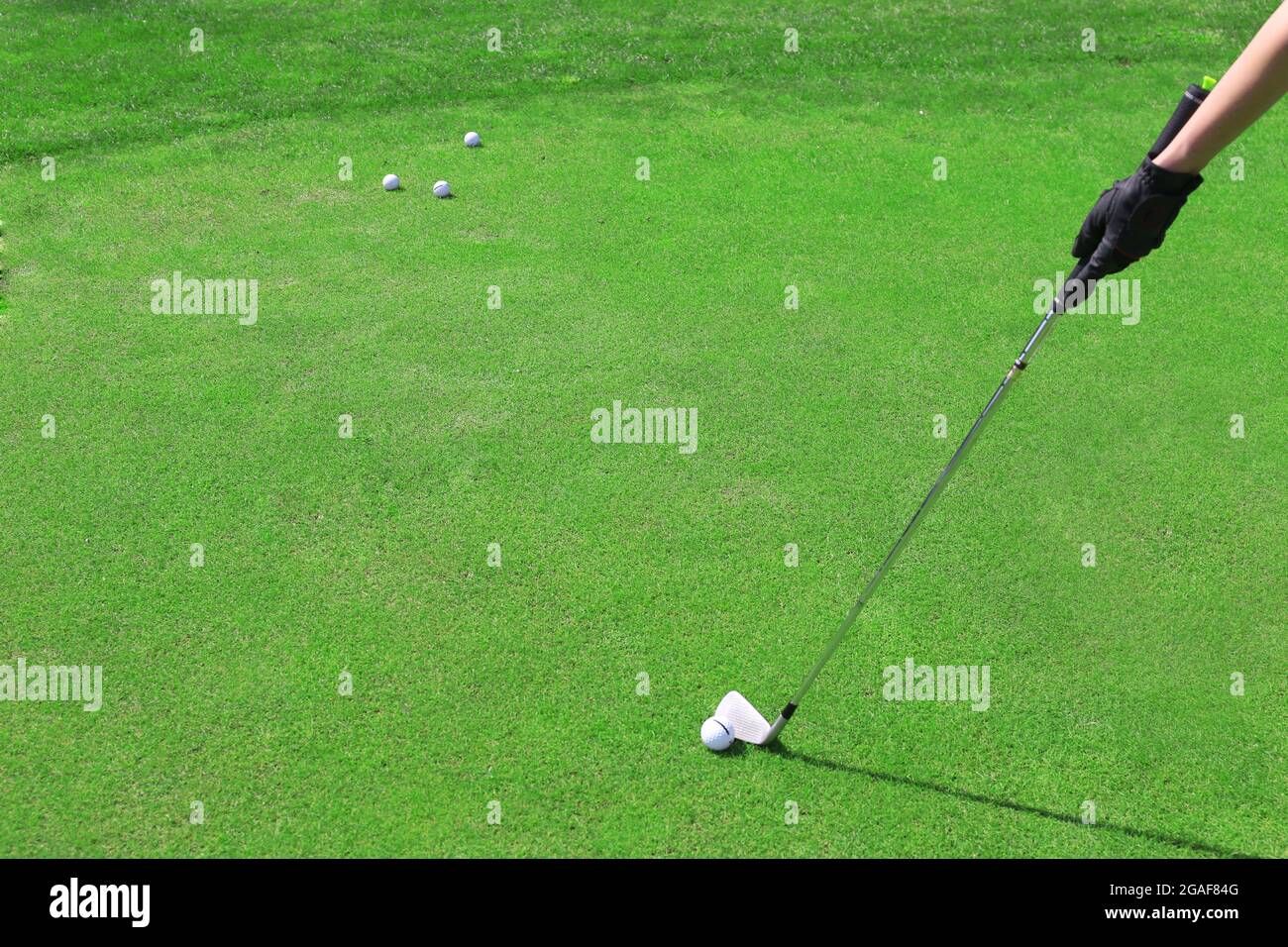 Hand in black glove with golf club and ball on green grass background Stock Photo