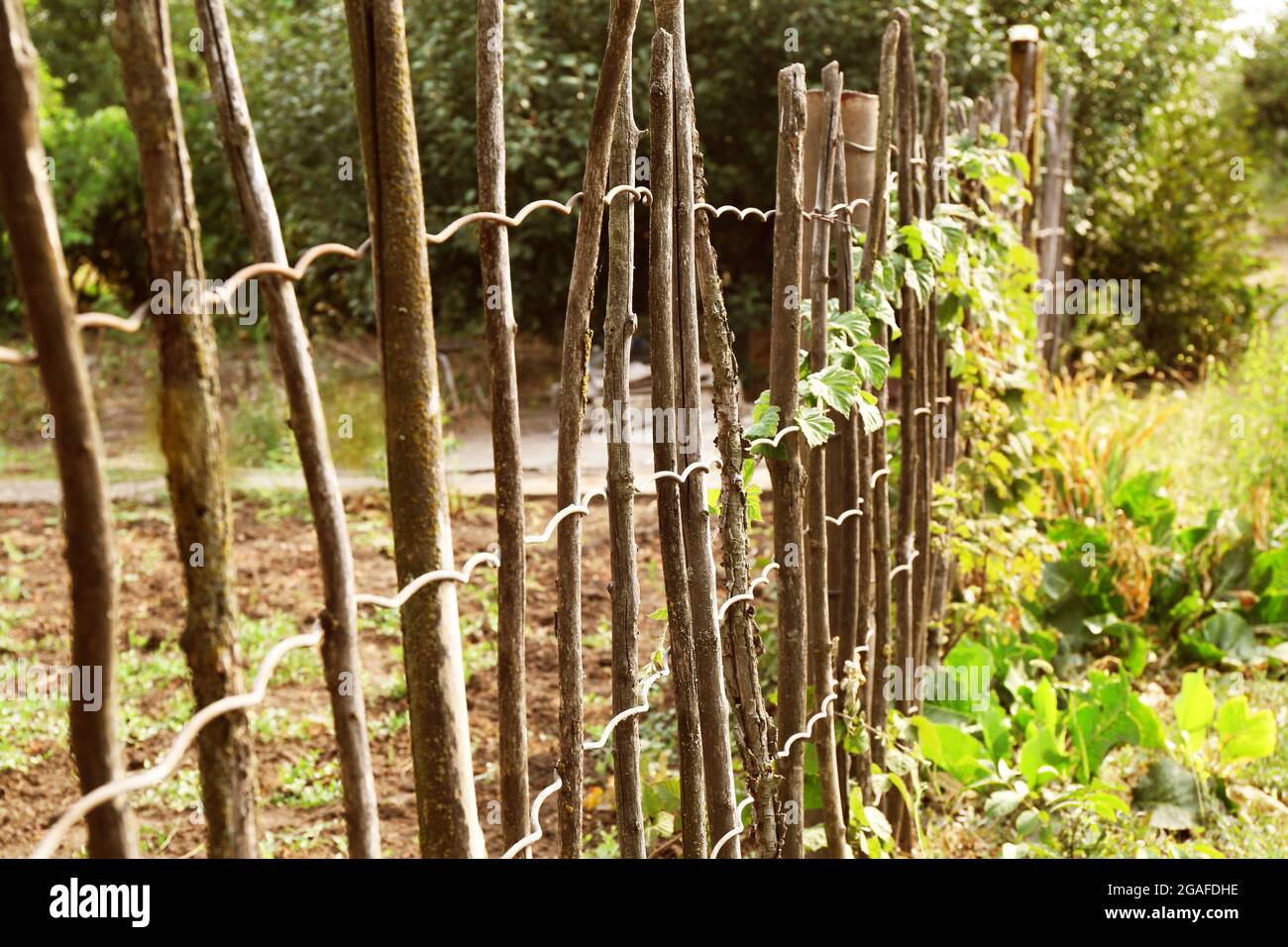Supporting netting frame in the garden outdoors Stock Photo - Alamy