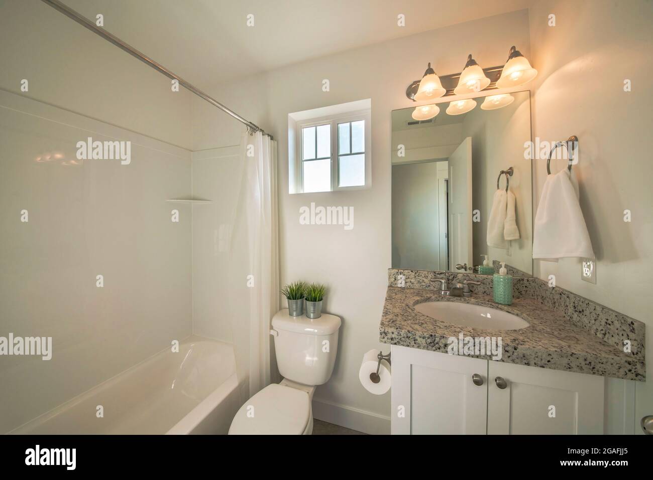 Small bathroom interior with windows and two green plants on a metal ...
