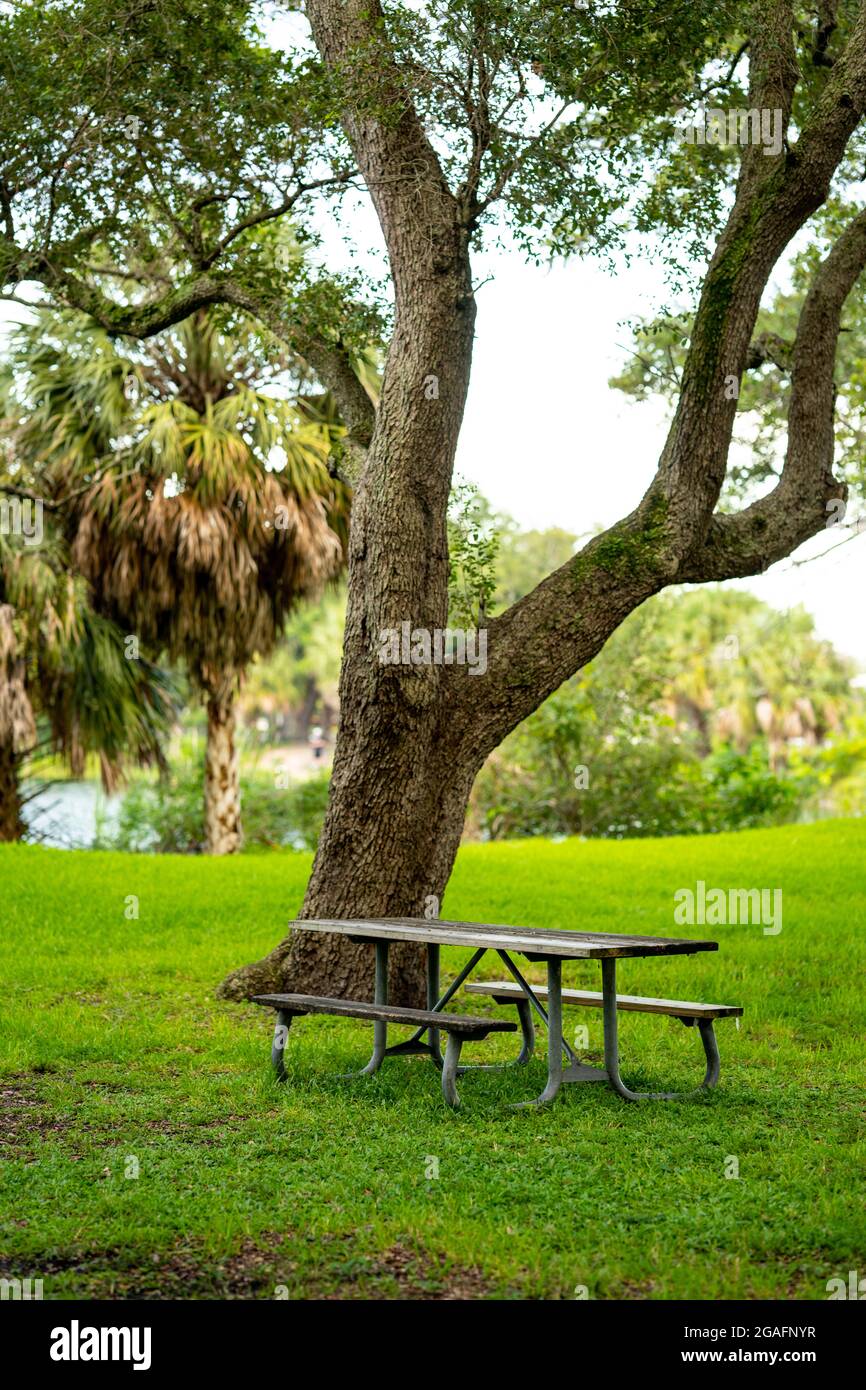 Picnic table in the park hi-res stock photography and images - Alamy