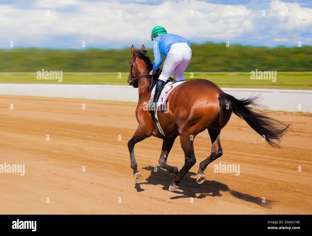 Galloping race horse in racing competition. Jockey on racing horse. Sport. Champion. Hippodrome