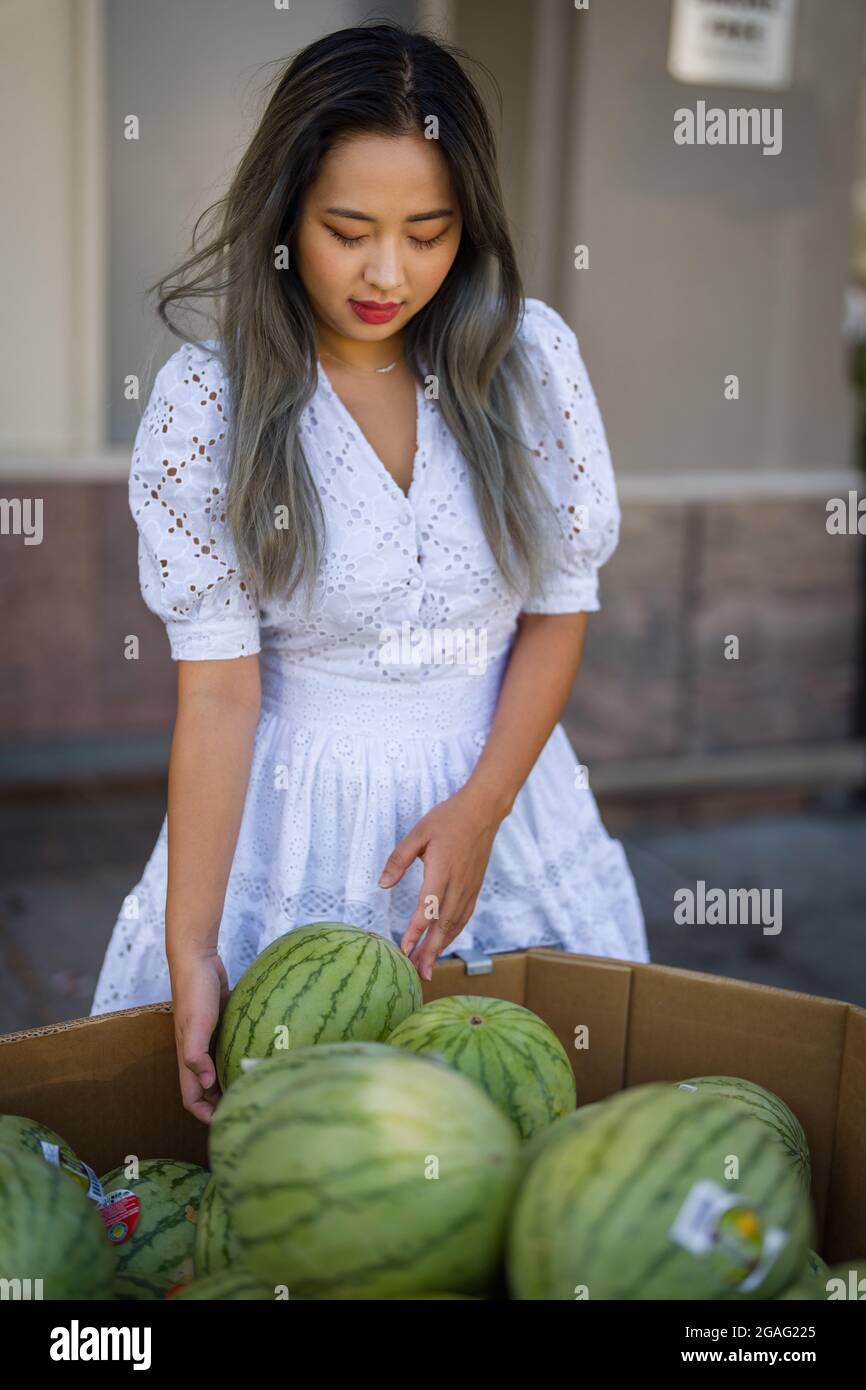 Picking water melons hires stock photography and images Alamy