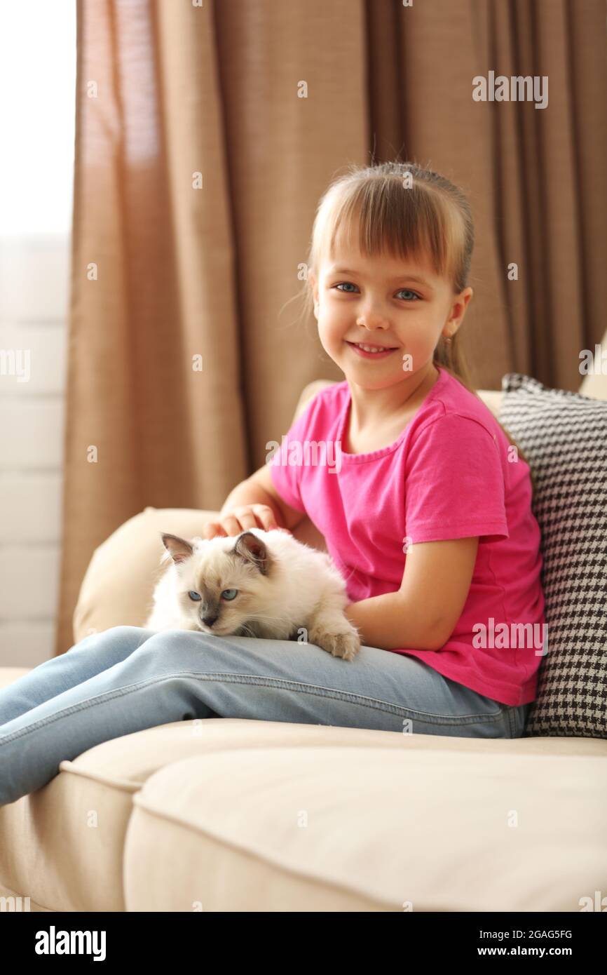 Little cute girl playing with kitten on sofa at home Stock Photo - Alamy