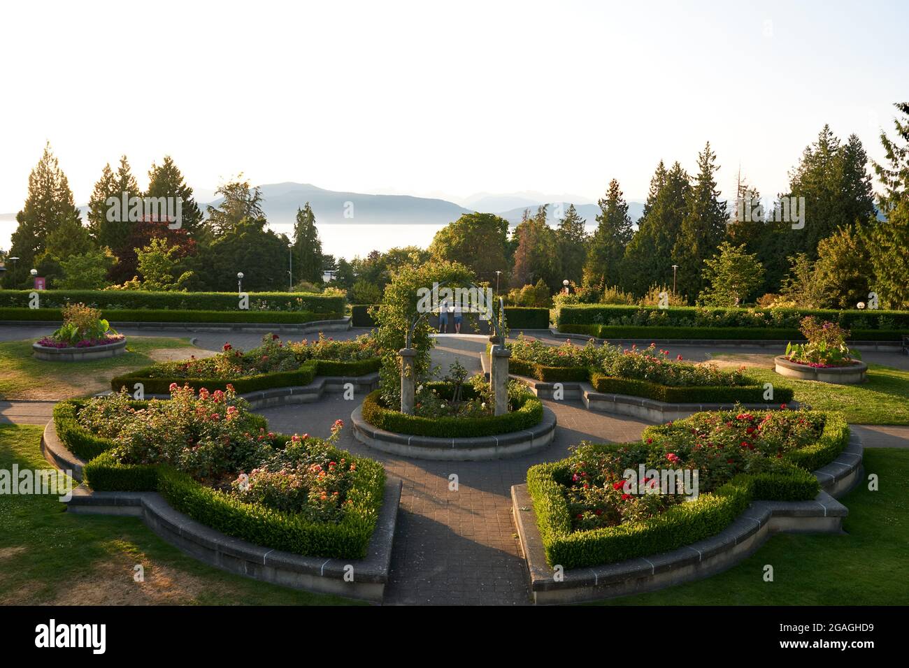 Tee UBC Rose Garden at sunset, University of British Columbia, Vancouver, Canada Stock Photo