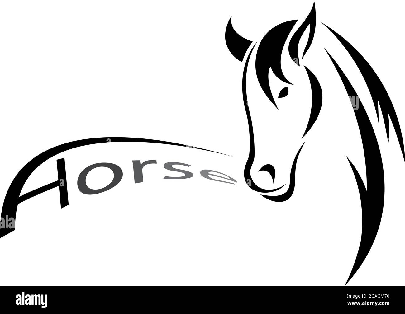 Vector image of an  horse , illustration - vector Stock Vector