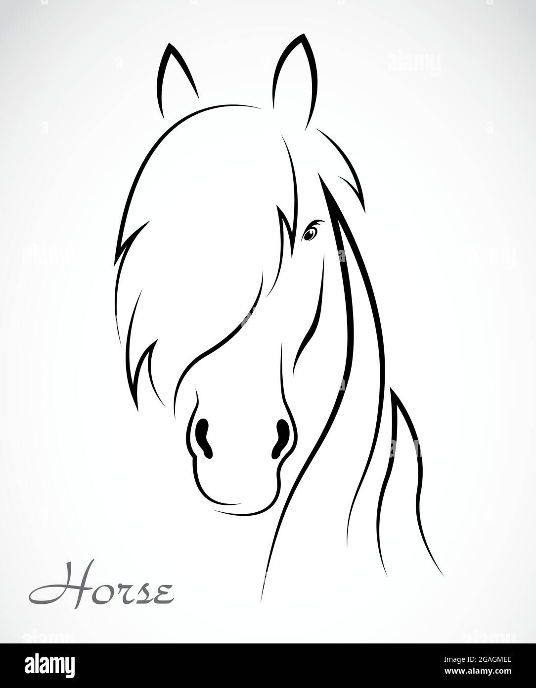 Vector image of an horse on white background Stock Vector Image & Art ...