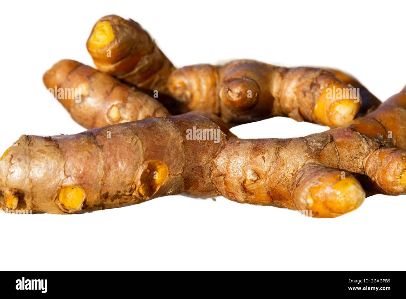 close up of fresh turmeric ( curcuma longa ) roots isolated on white. Stock Photo