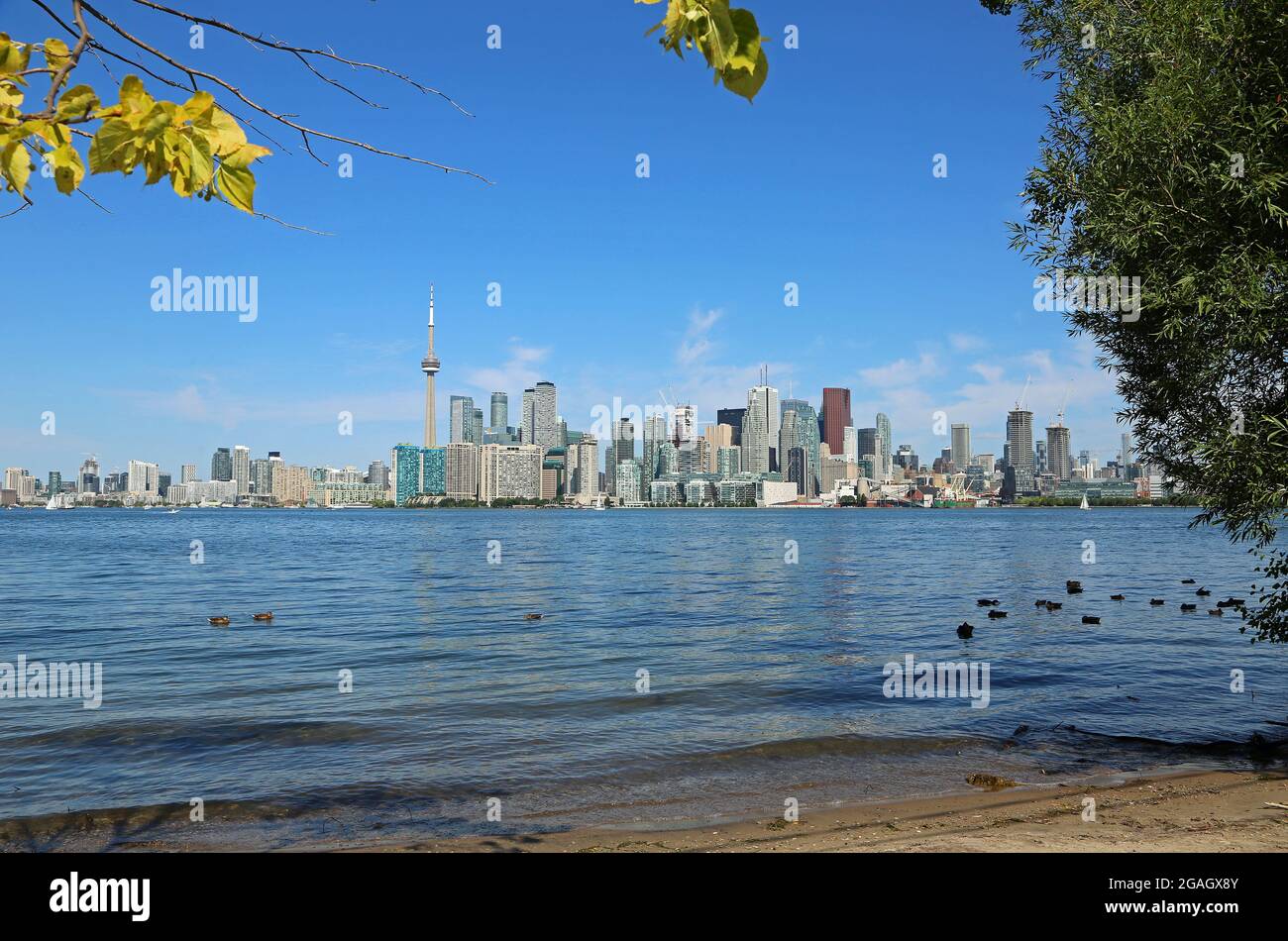 Standing on the shore of Toronto Island, Canada Stock Photo