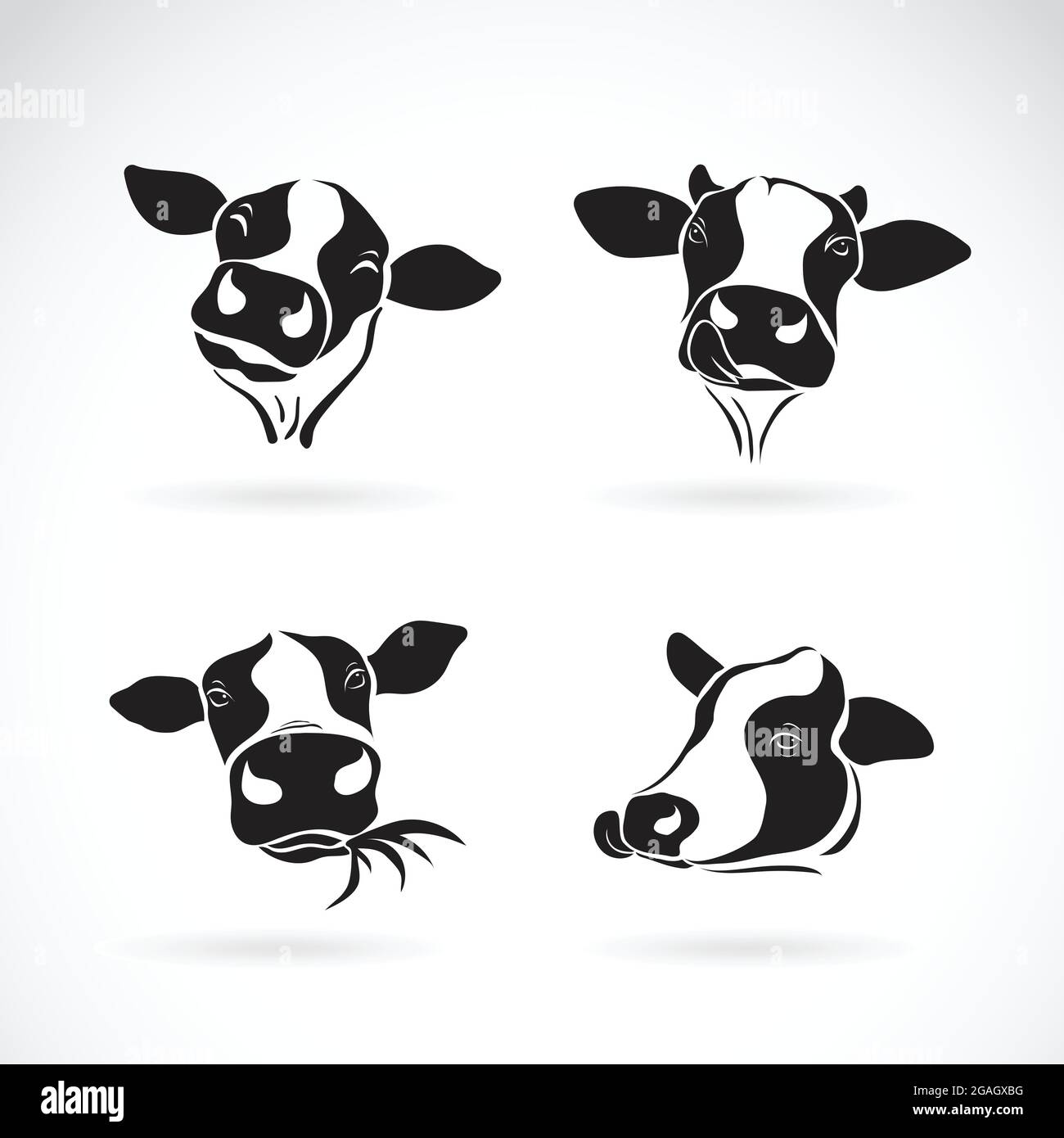 Vector group of a cow head design on white background. Farm Animal. Stock Vector