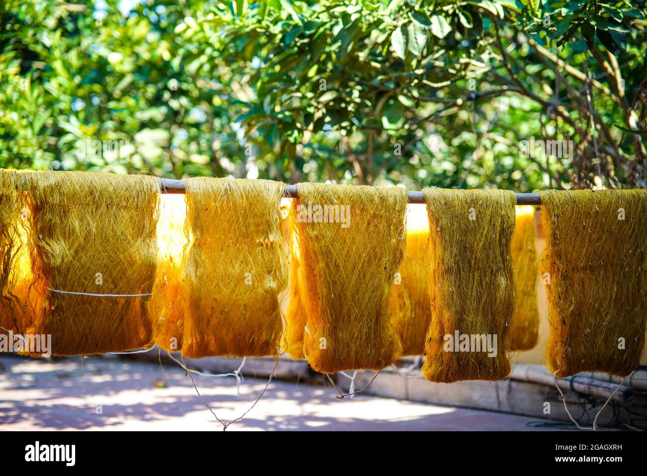Nice yellow silk Thanh Hoa province northern Vietnam Stock Photo