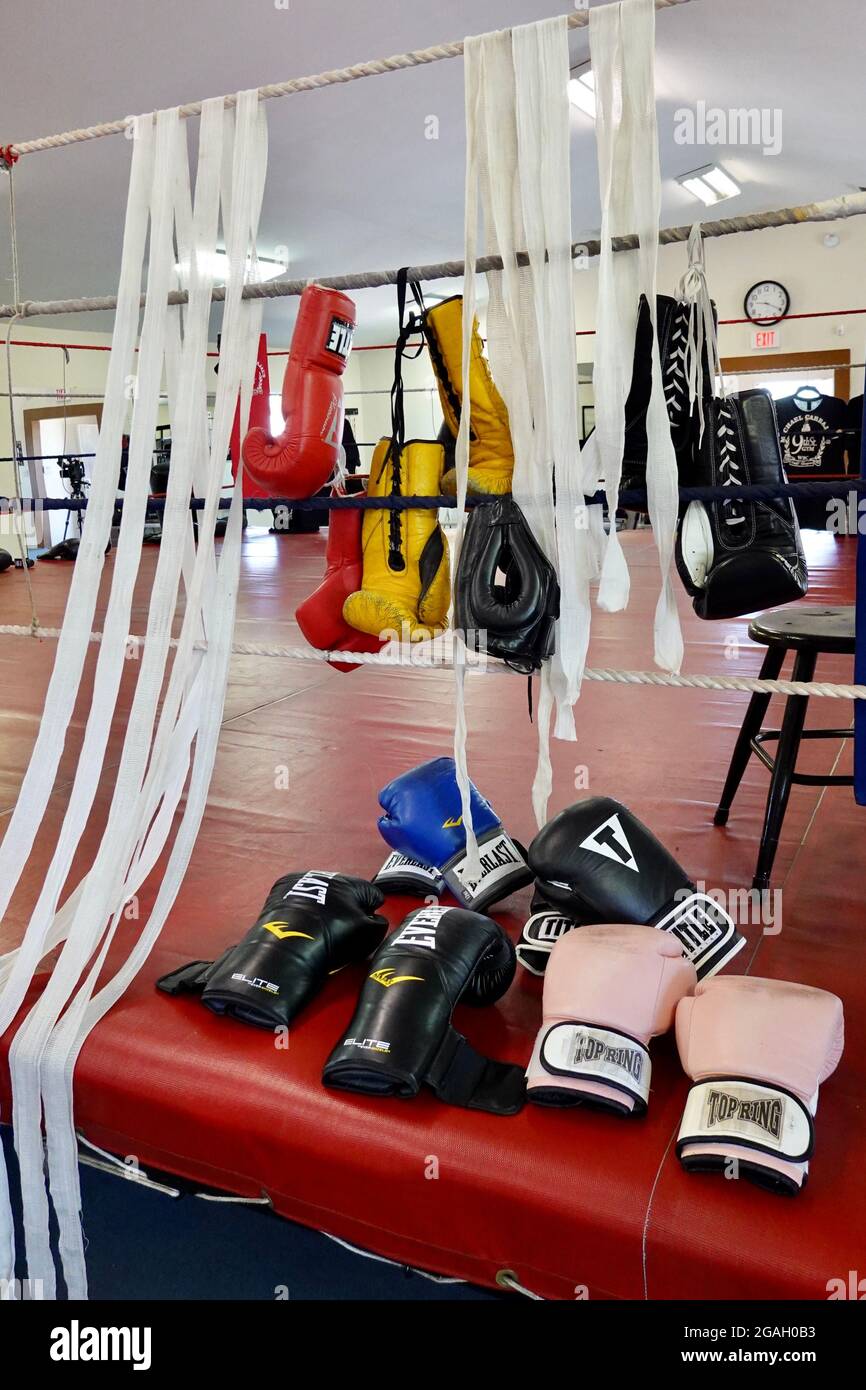 Boxing gloves and wrist wraps hang from the ropes of a boxing ring Stock Photo Alamy
