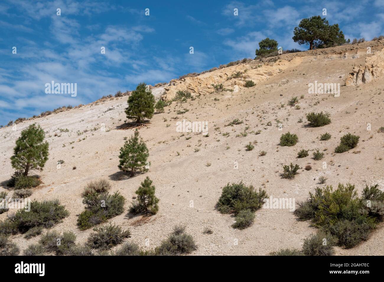 Sherwin Grade The Big Pumice Cut is a famous geological feature along U.S. Highway ...
