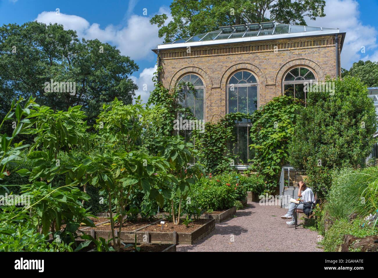 Botanical garden with beautiful Greenhouse or Glasshouse Stock Photo