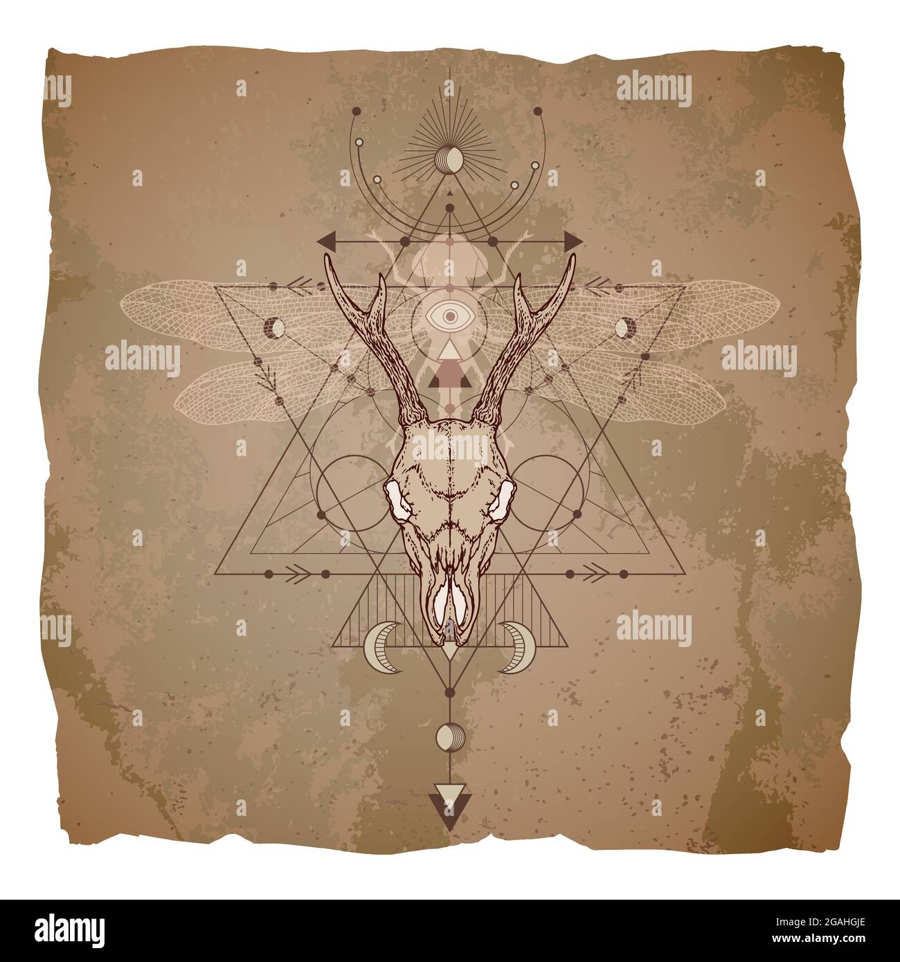 Vector illustration with hand drawn roe deer skull, dragonfly and ...