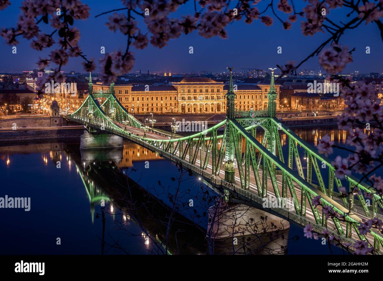 Budapest, Hungary - Illuminated Liberty Bridge over River Danube at dusk with cherry blossom tree at foreground taken from Gellert Hill. Spring has ar Stock Photo