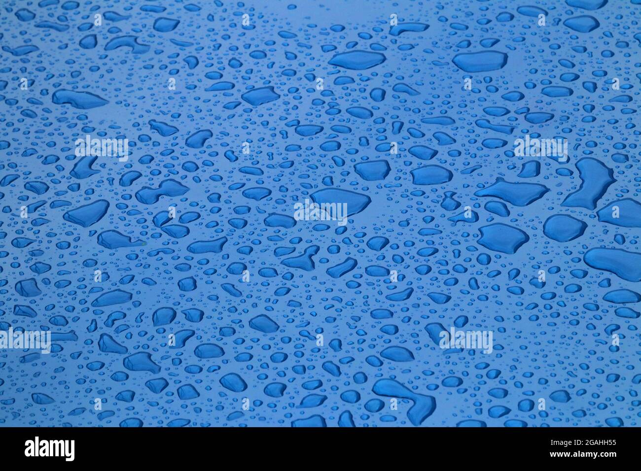 Drops of water on blue surface Stock Photo