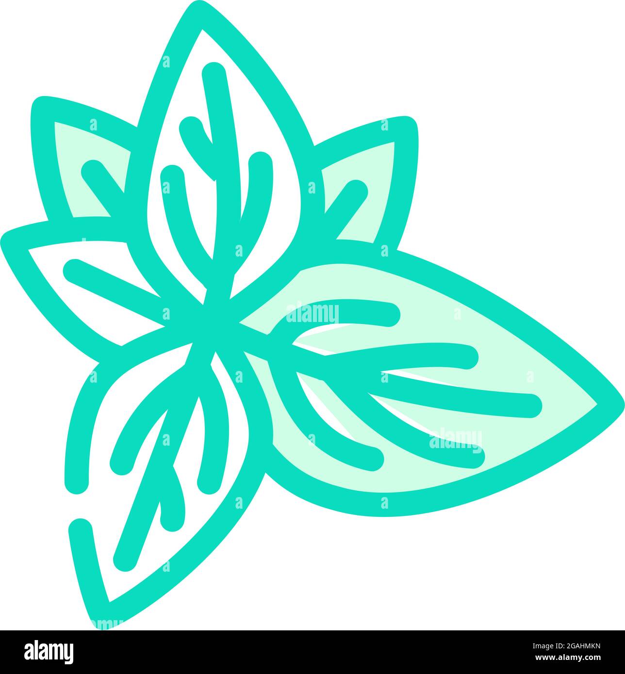 basil leaves color icon vector illustration Stock Vector Image & Art